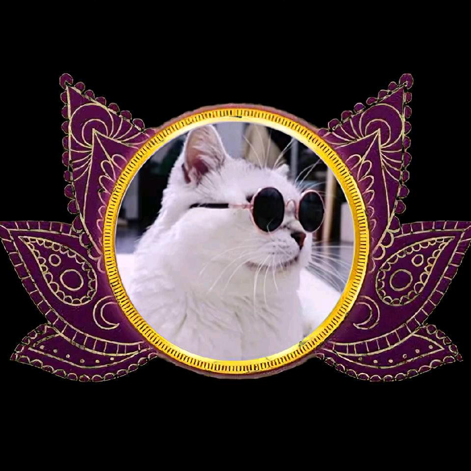 老猫| 大宅设计研发总部