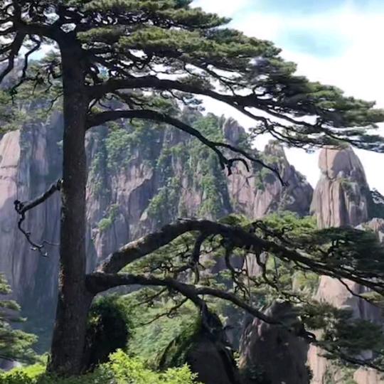 峰行天下413