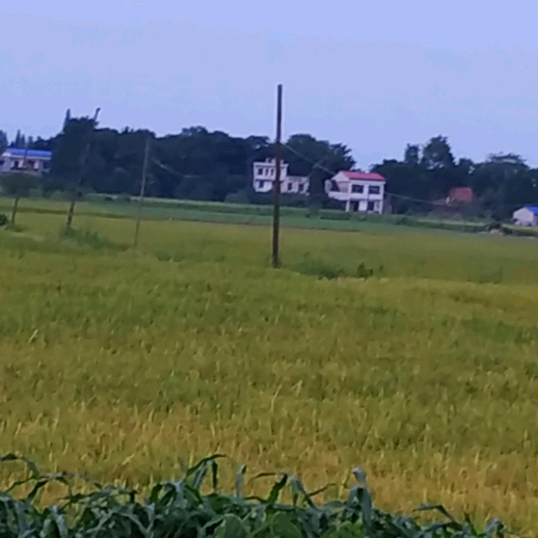 相伴一生
