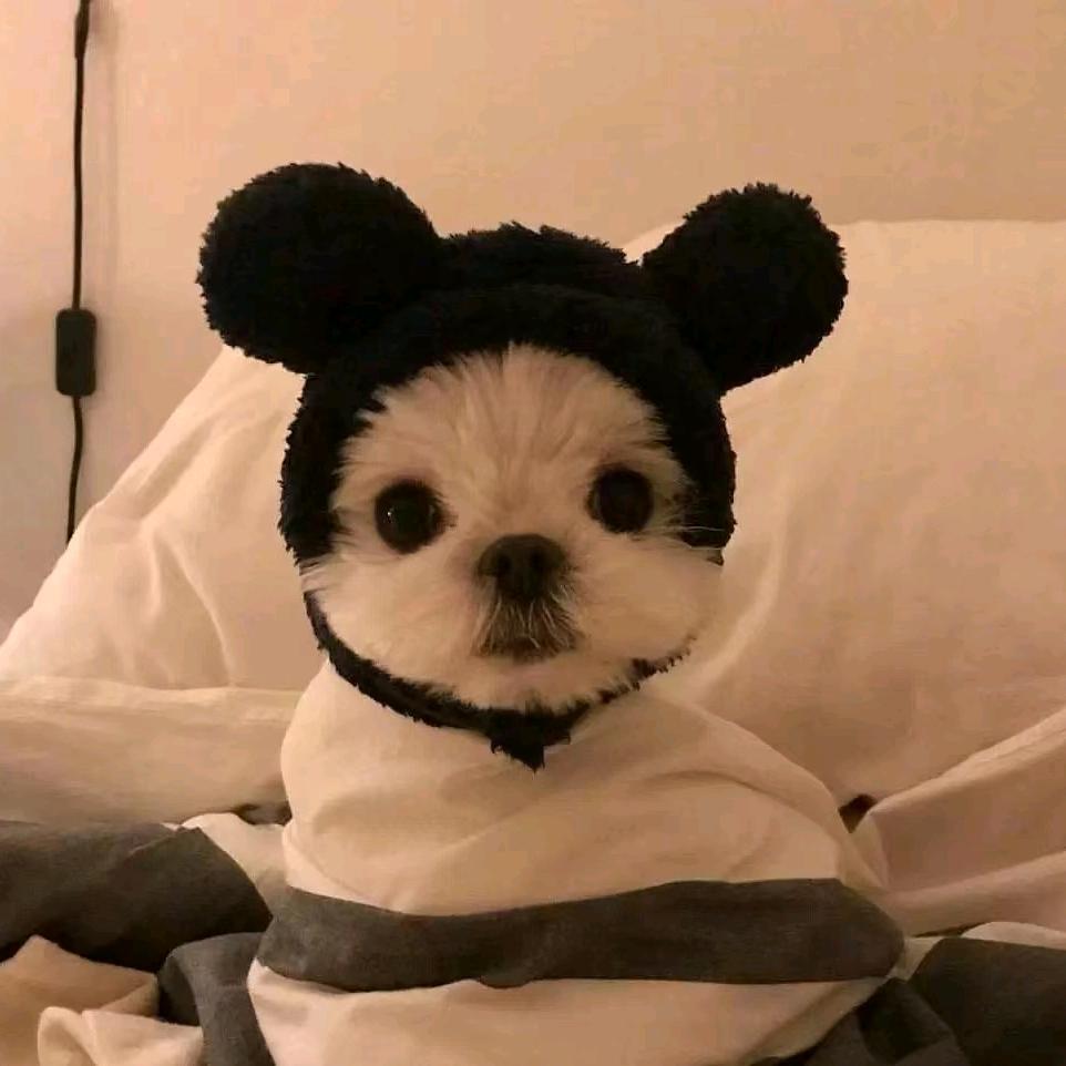 加点糖
