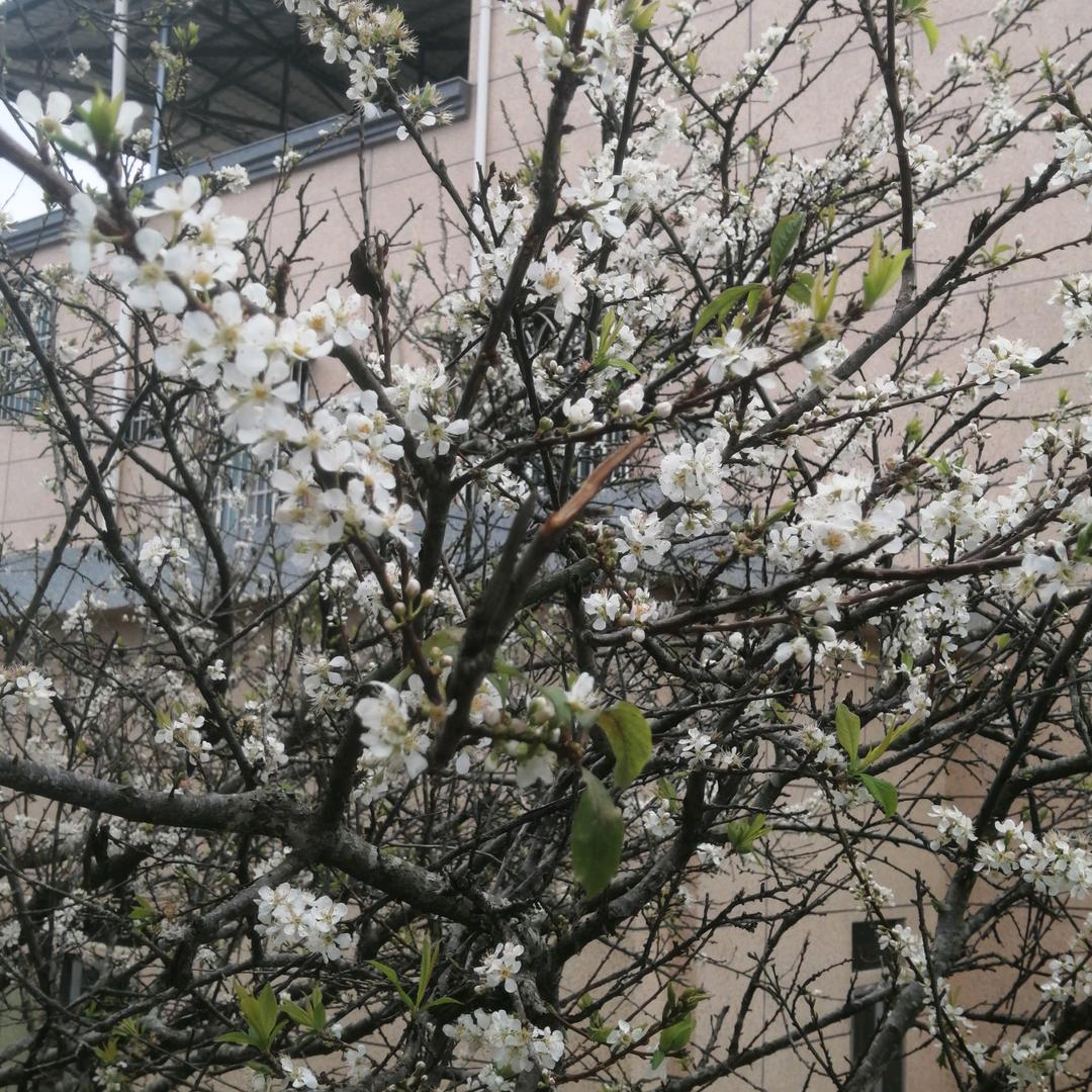 90后小大叔