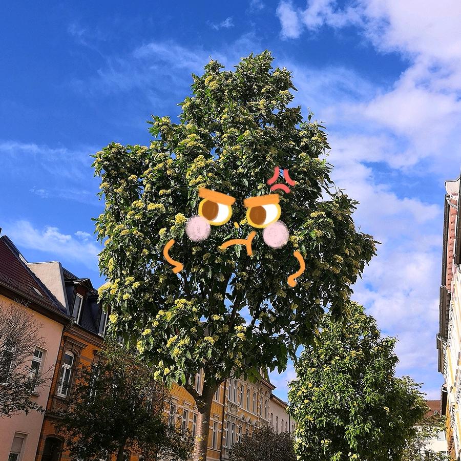 爱吃迷你泡芙的杰芙