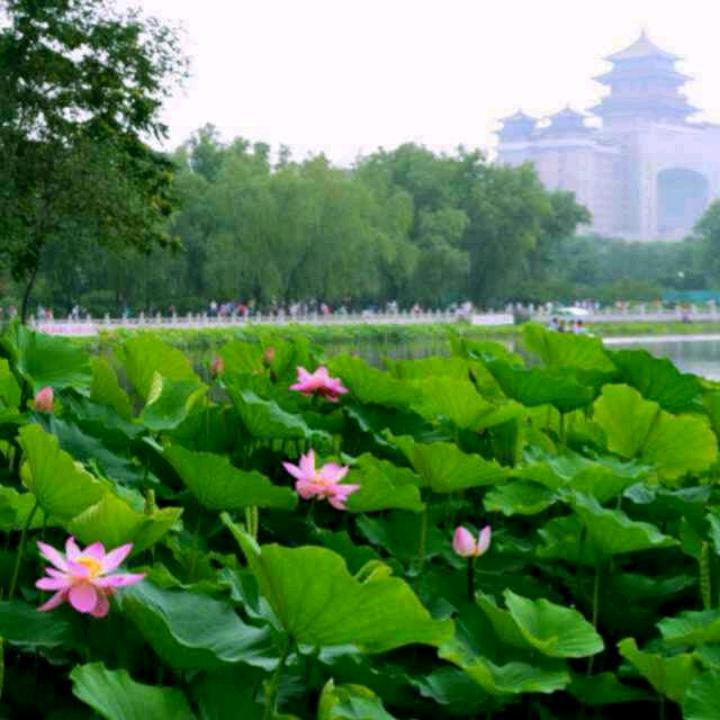 邂逅
