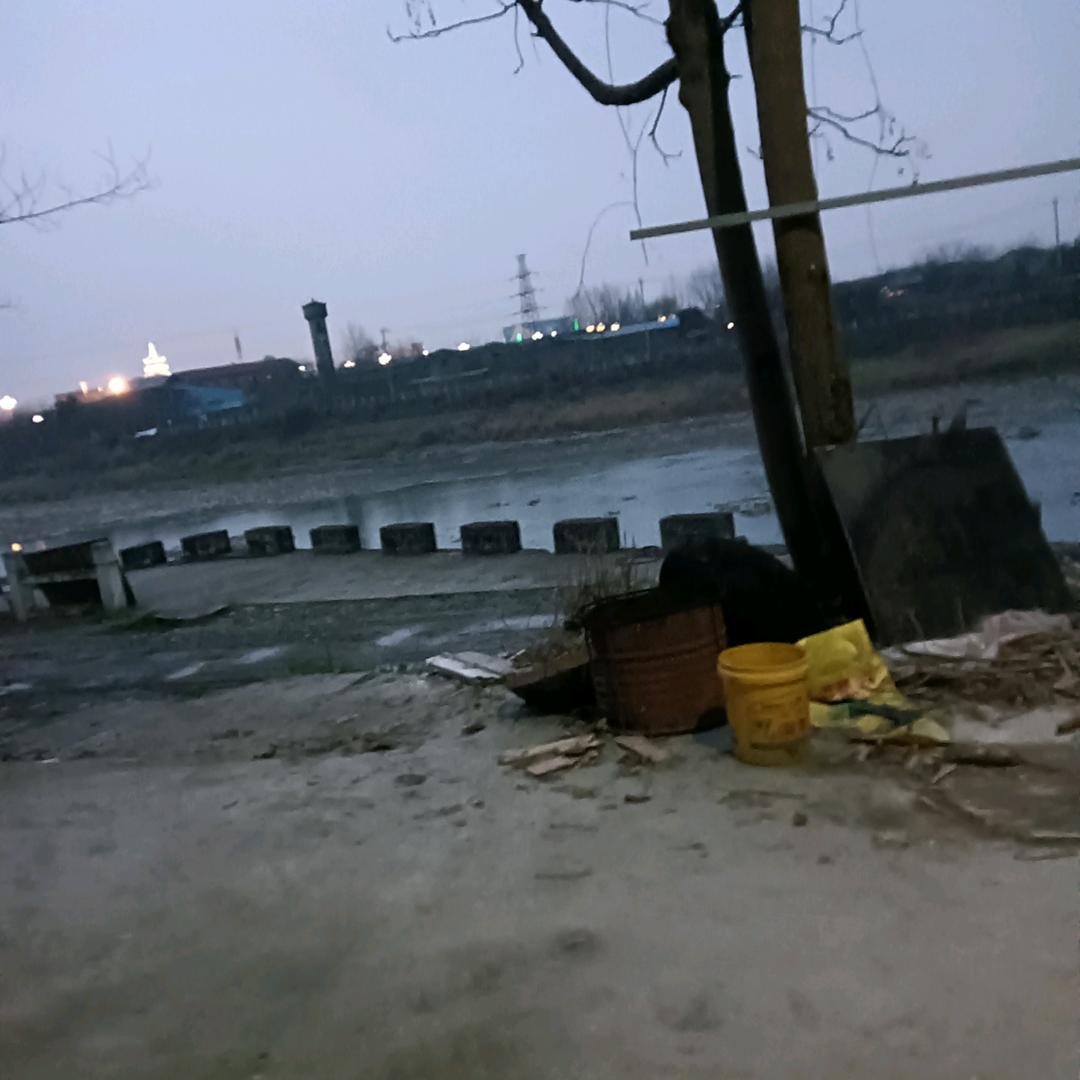 贾牛肉