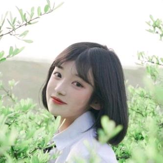 茉莉花