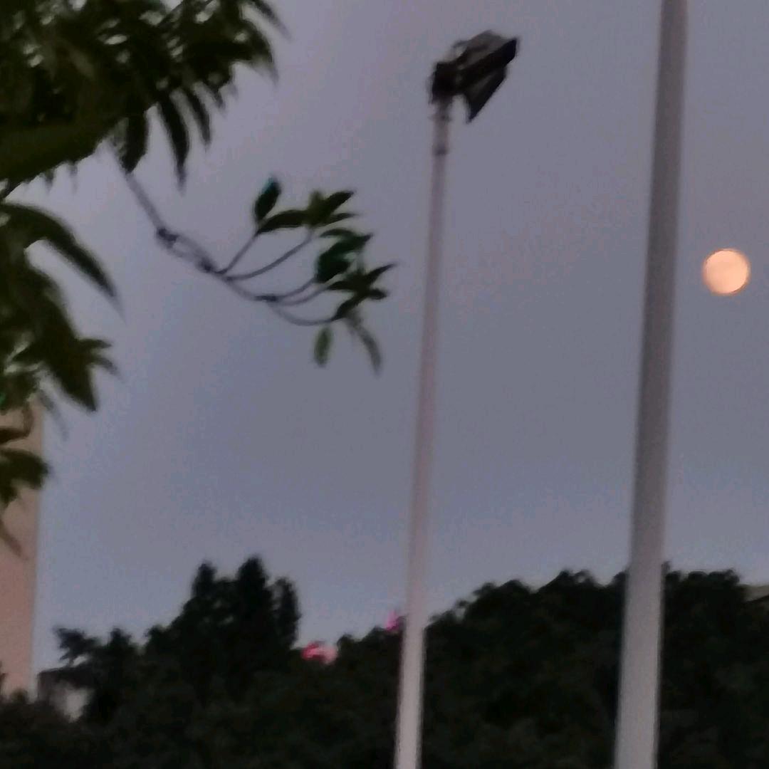 我也不太了解他