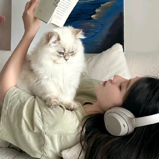 花少北、