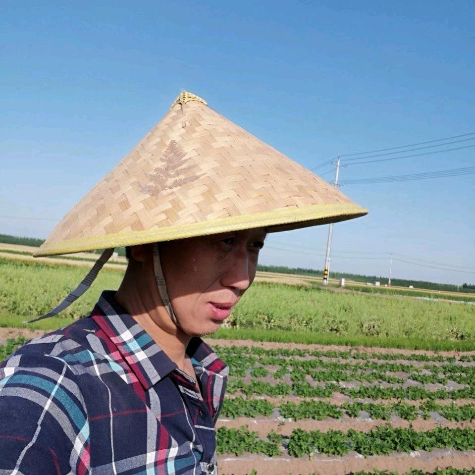 上善治水