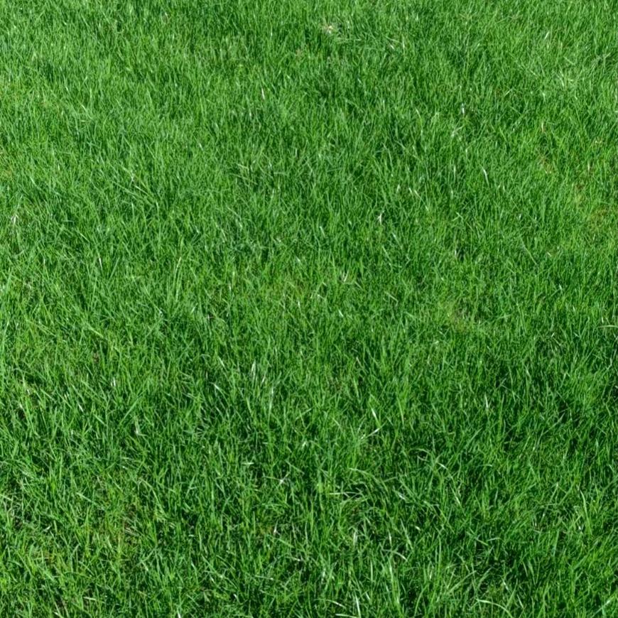 淮南市锄禾园林