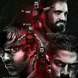 WWE拉布拉多