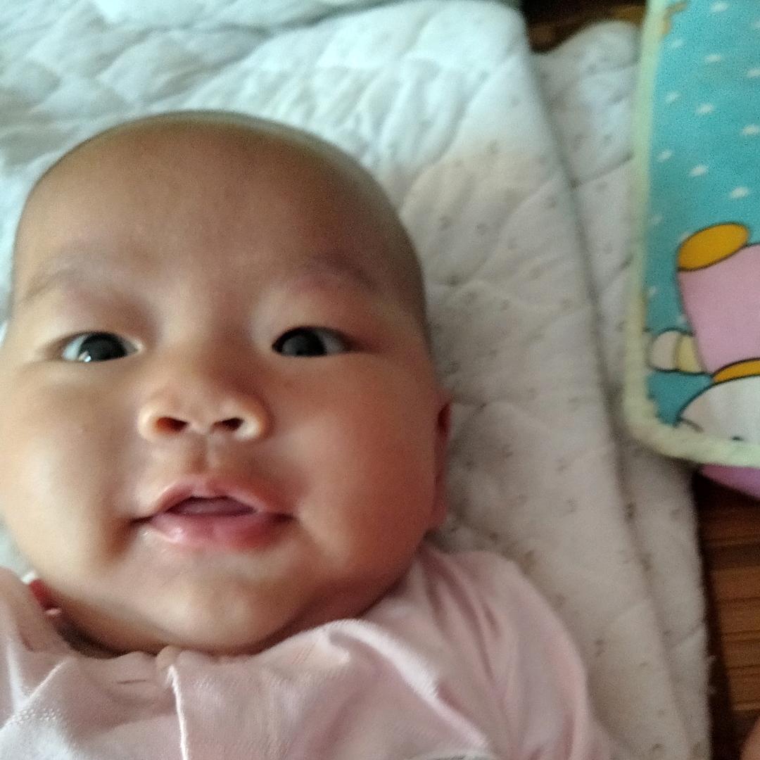 @梅子头像
