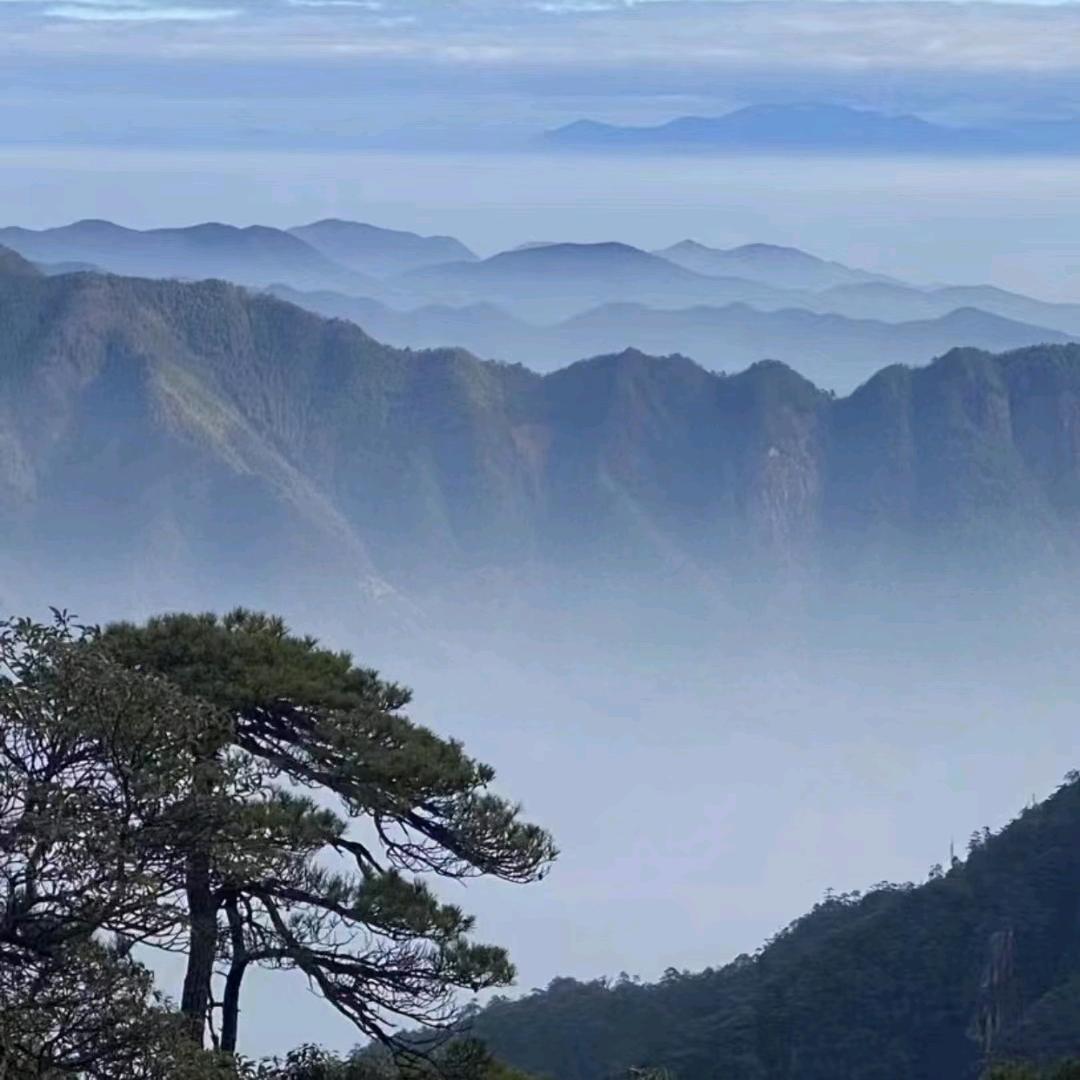 葫芦岛房产--秋菊姐