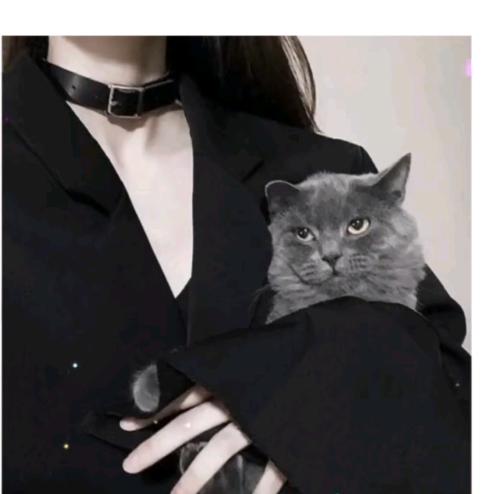 欣儿