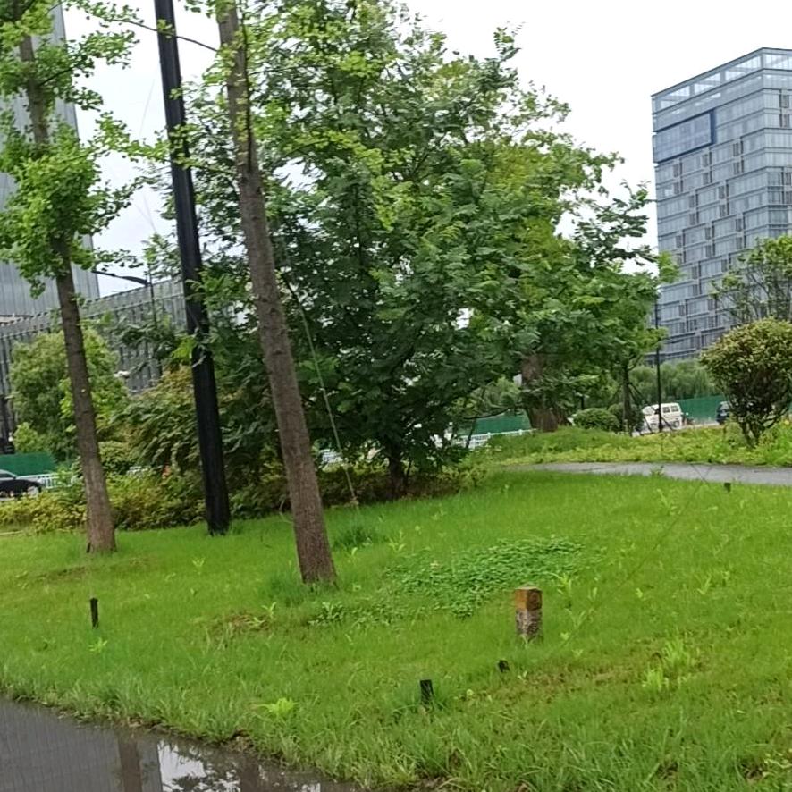 亲儿