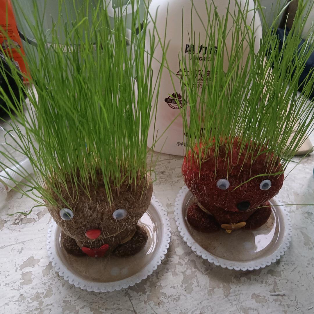 user4366918965095185