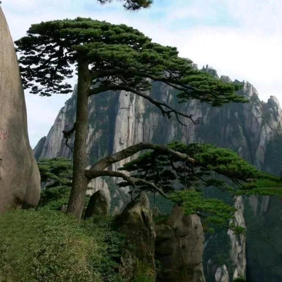 若无相欠，怎会相见。