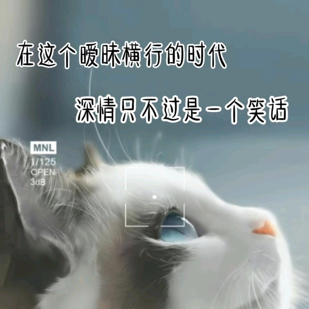 🌻🌹🌾莫忘初衷💐