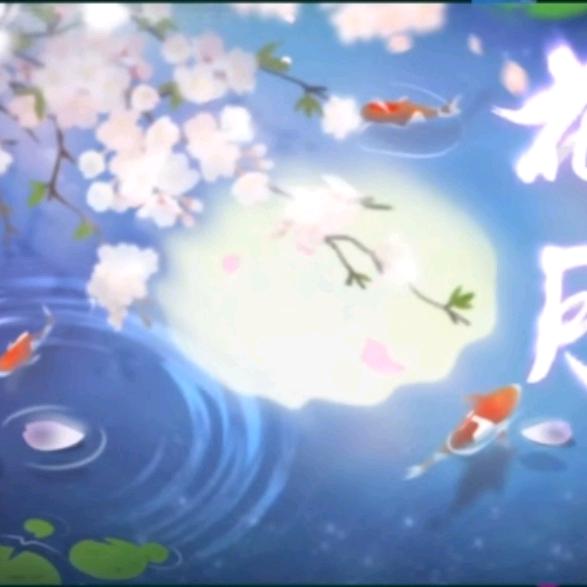盛清海洋