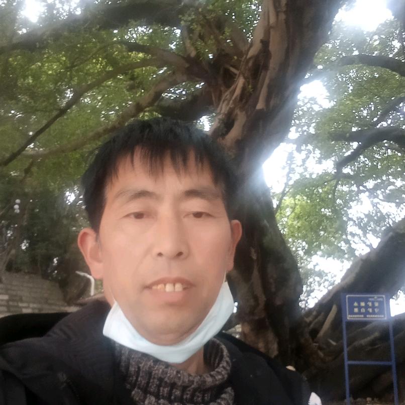 心动