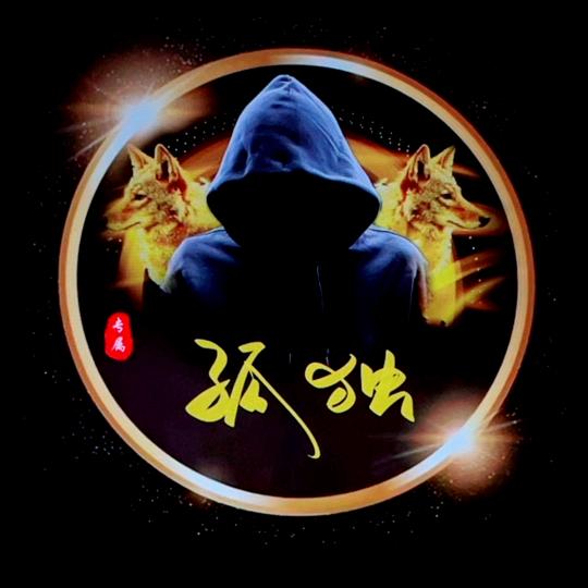 錒\从未消失的:(孤独