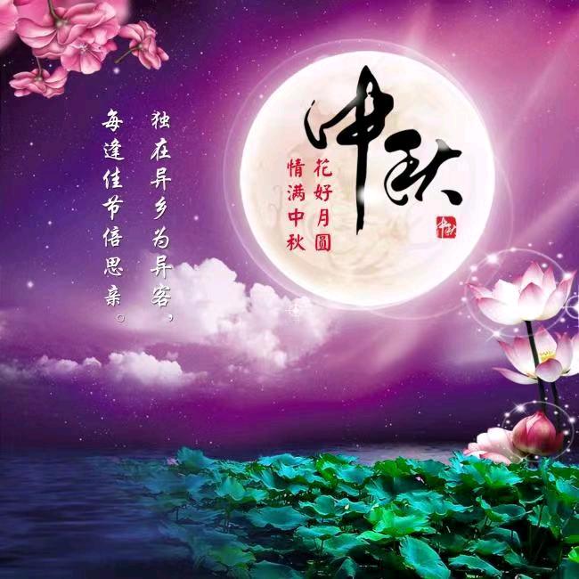 单身～真心交友
