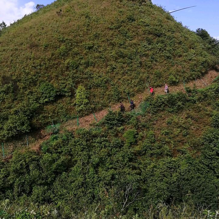 和谐