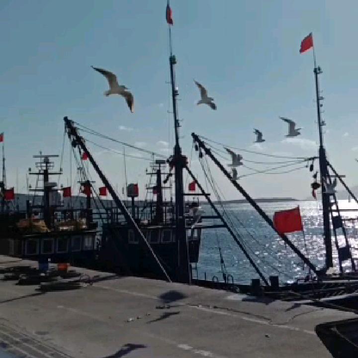 義和笛韵(赵平)