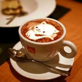 曾环环的搬砖日常