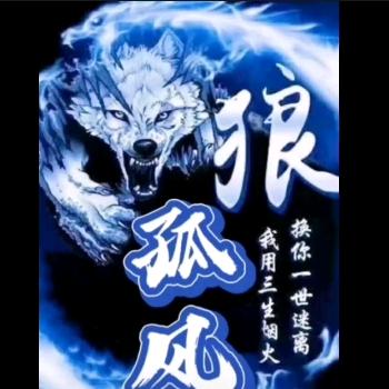 子    枫