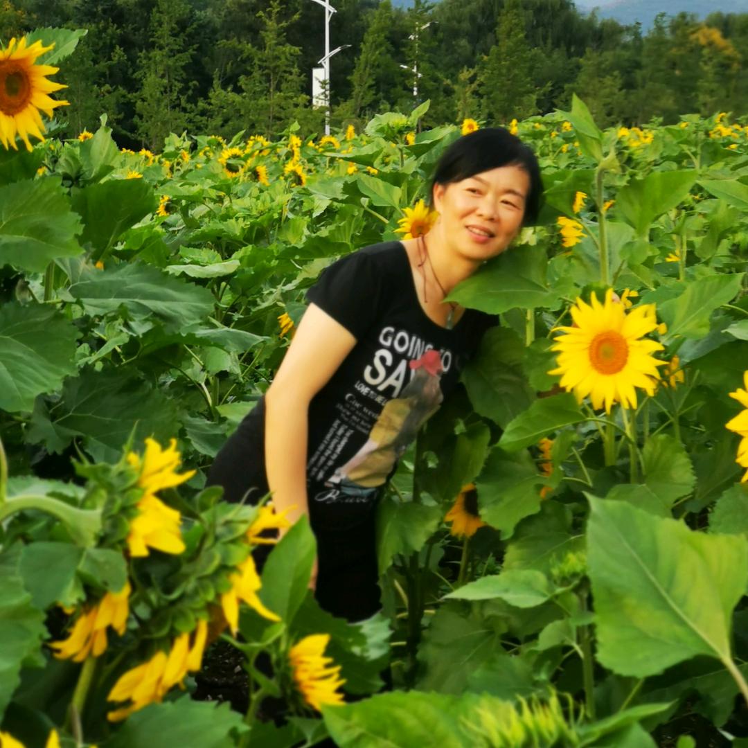 飞舞