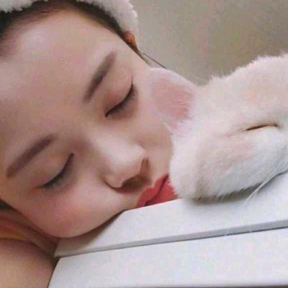 画心