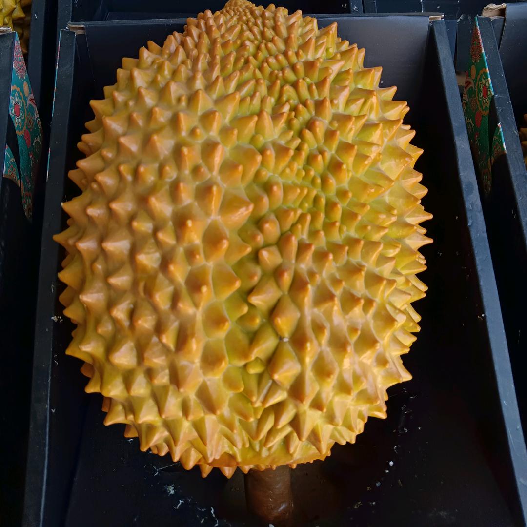 KYKN·松鼠鲜生超市专用号