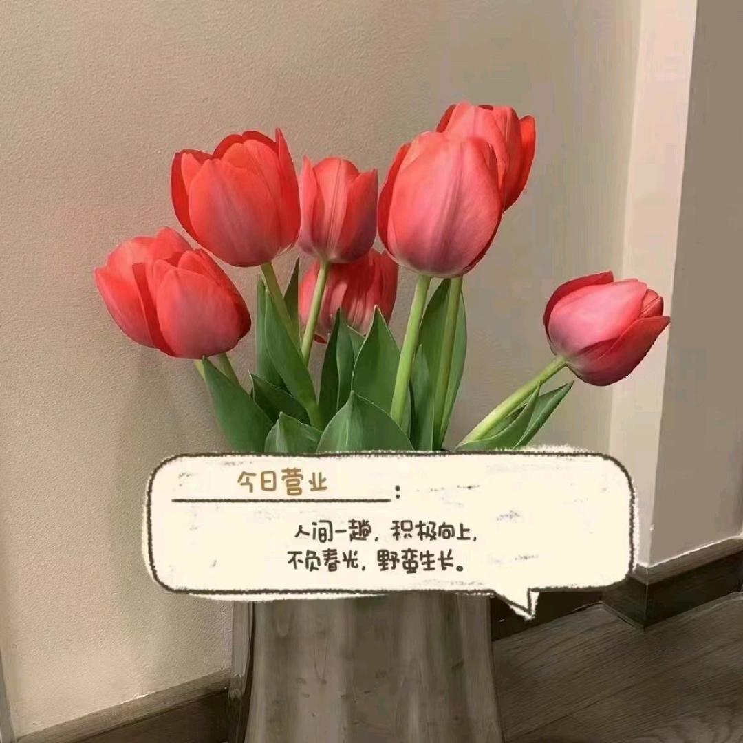 ᵔ⌔ᵔ仰望星空