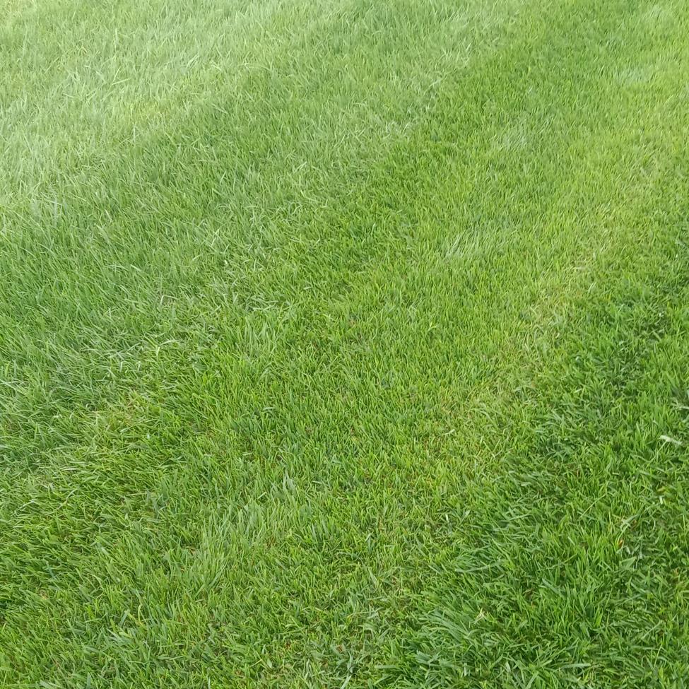 给时间一点时间