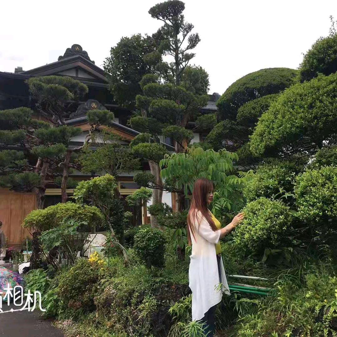 刘美美好物分享