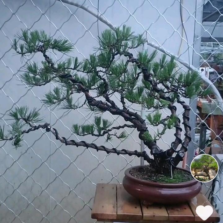 心简单世界就简单