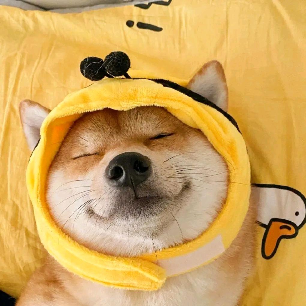 又一年夏天