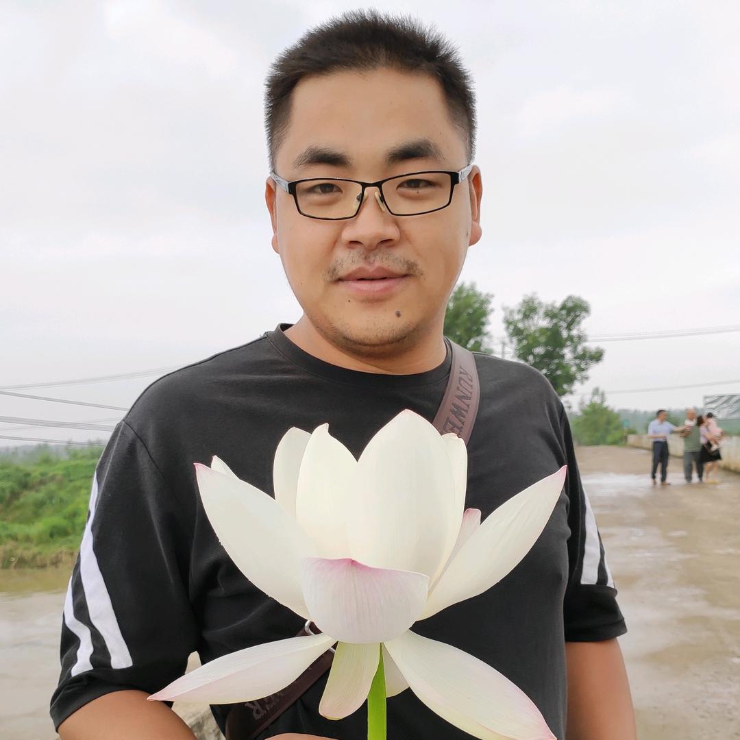 但皮皮