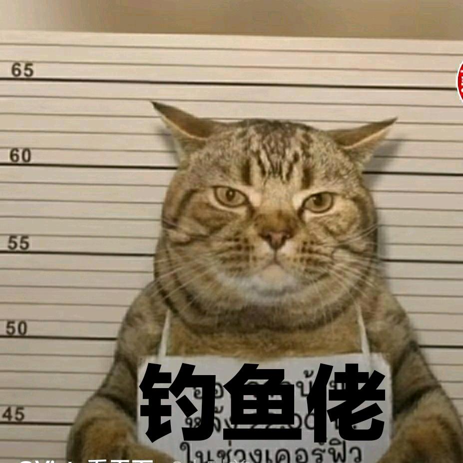 动物圆长
