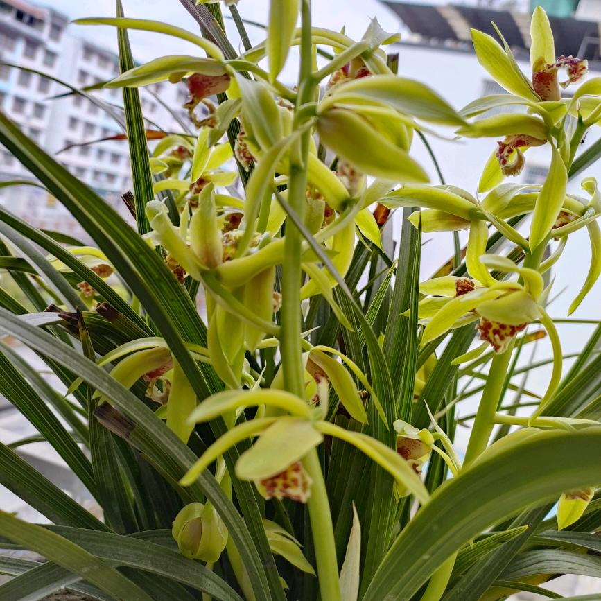 ໑ຼₒ₂₃ღ᭄高处不胜韩 🕊꧔ꦿ᭄💞