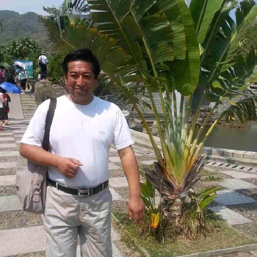 江苏海平