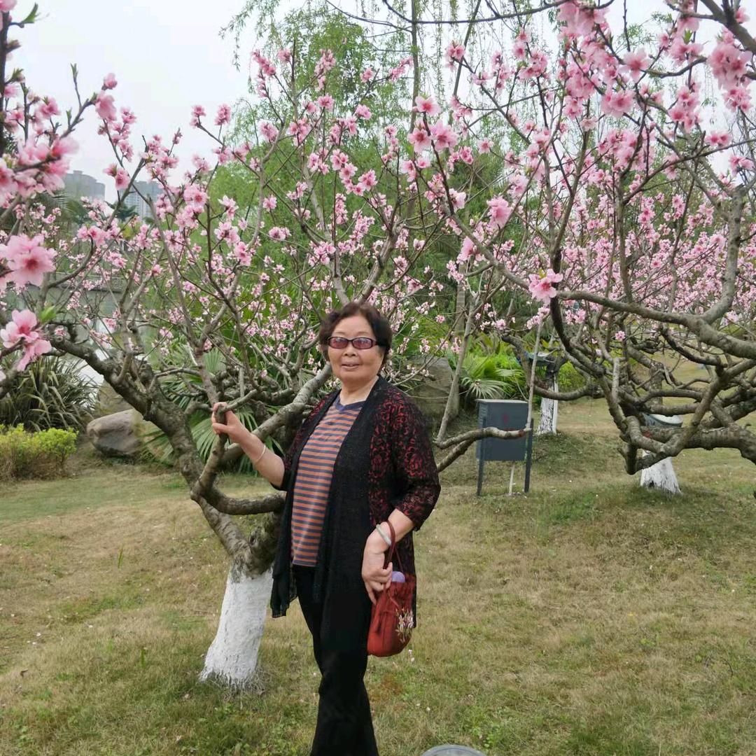 汤汝碧