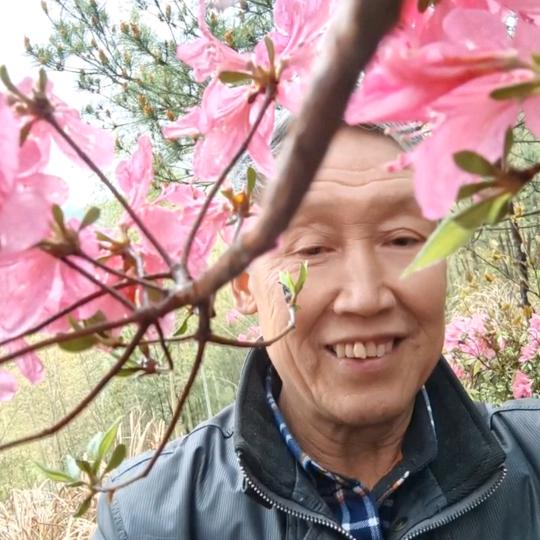酷爱(手机摄影)