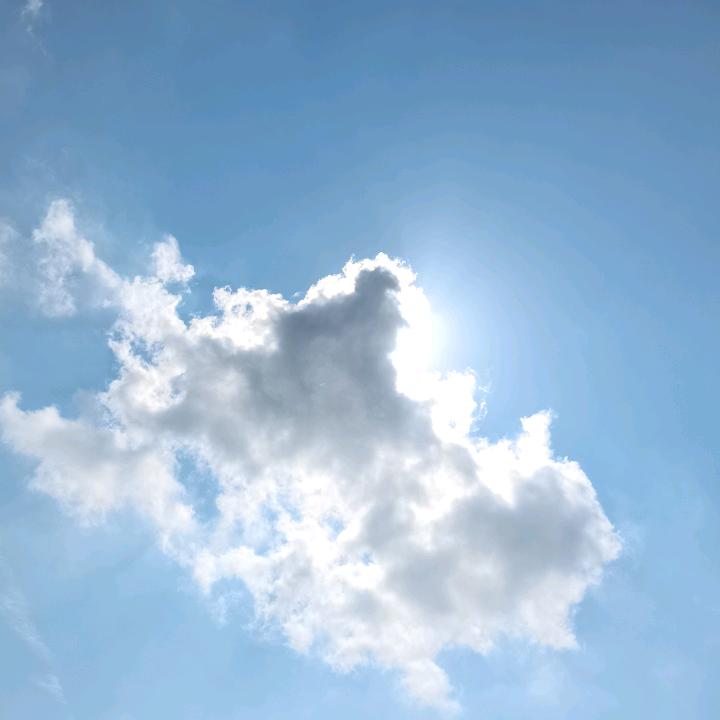 濤大叔
