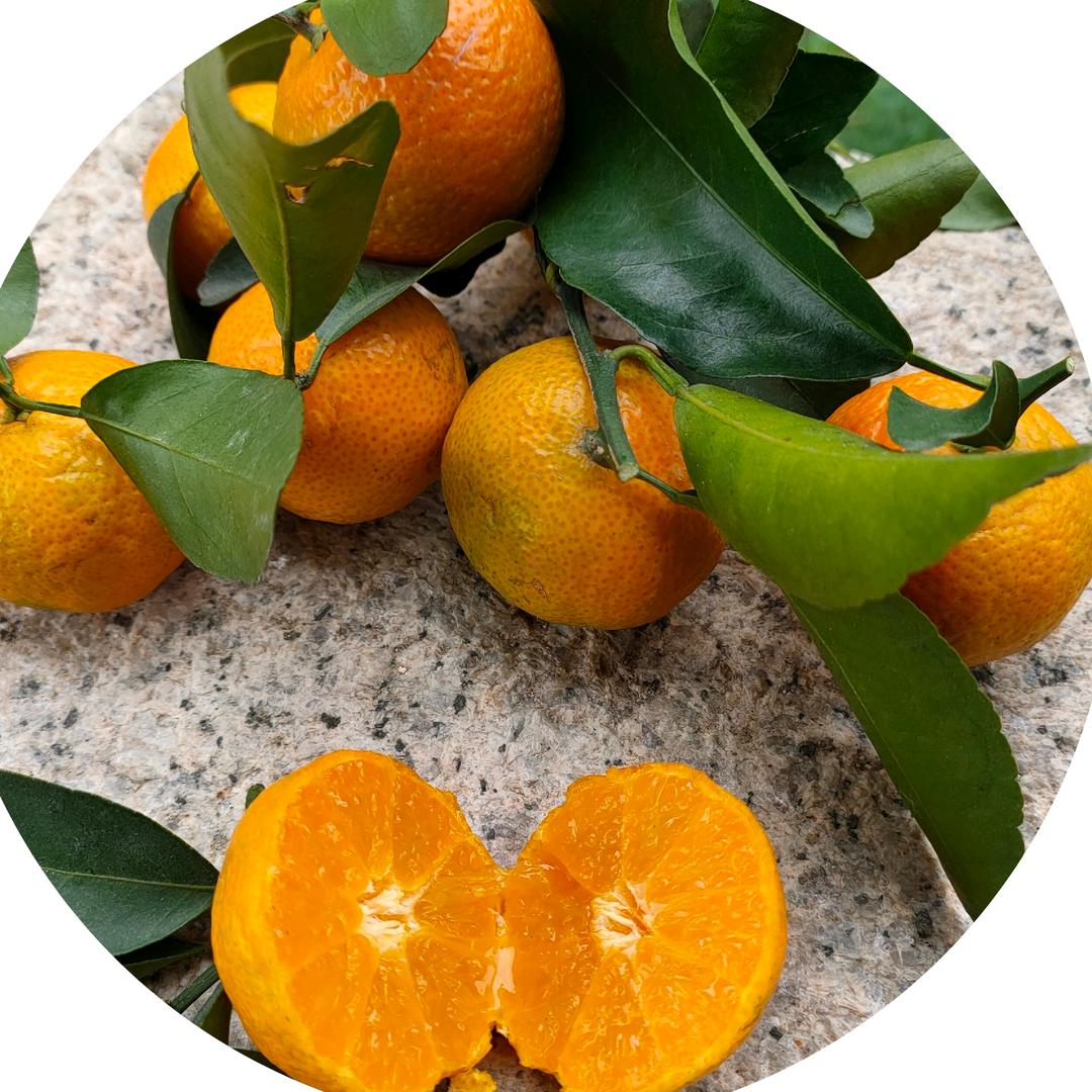 天喜楼（老三）果园