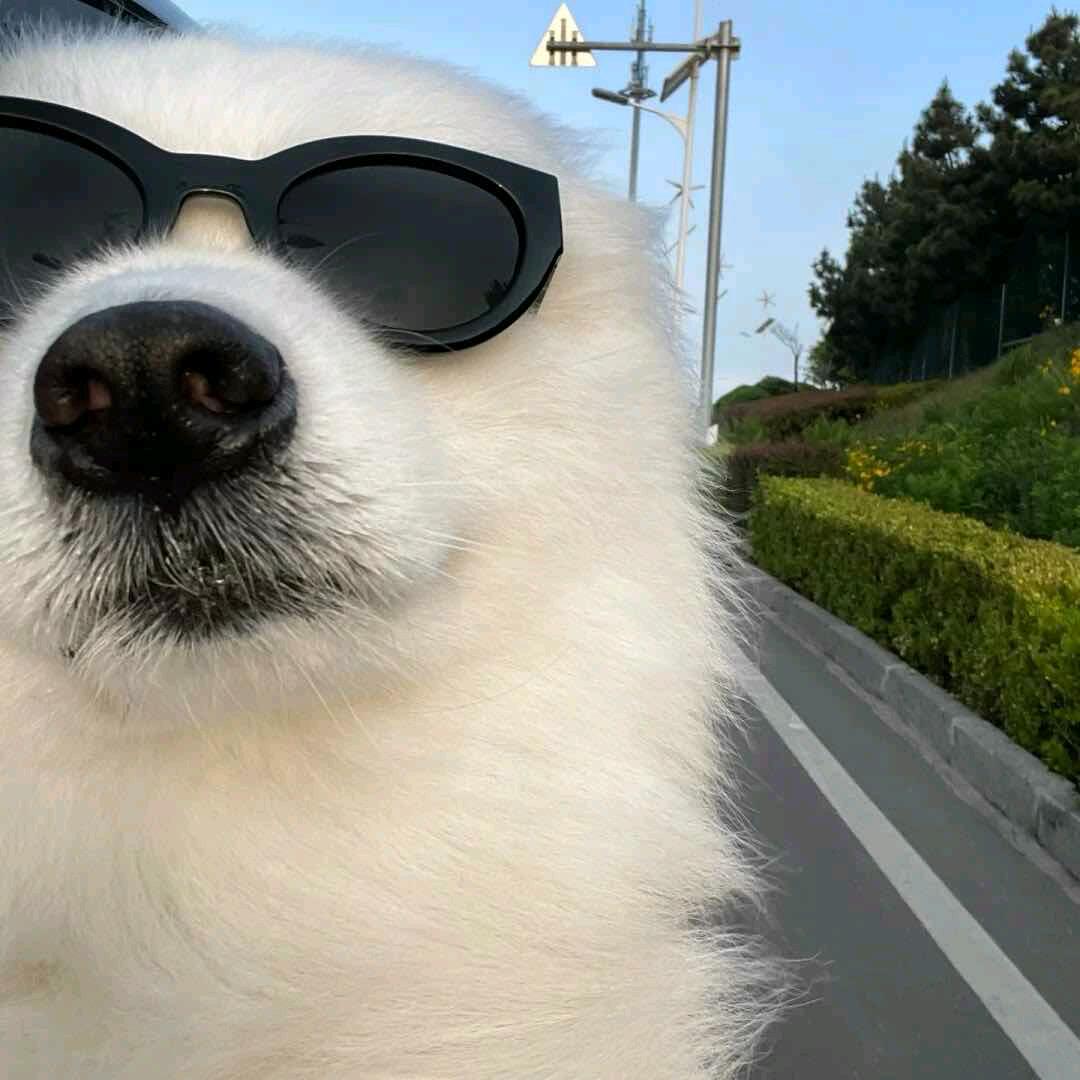 一入肉坑深似海