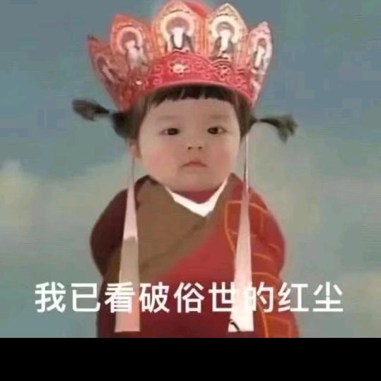 要吃肉肉！（鸿运当头）