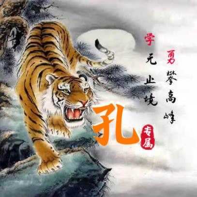 孔平头像