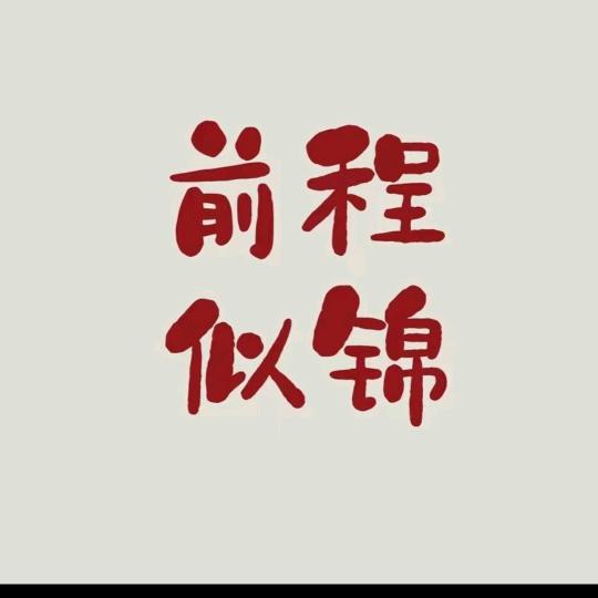 项城贴砖蔡师傅