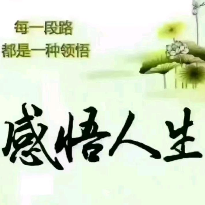 霞霞教练招收C1，C2，